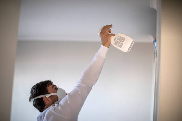 Best Mold Removal Near Me  in Guadalupe, CA