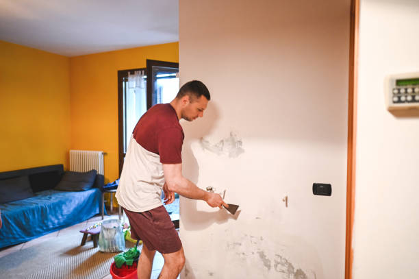 Best Residential Mold Removal  in Guadalupe, CA