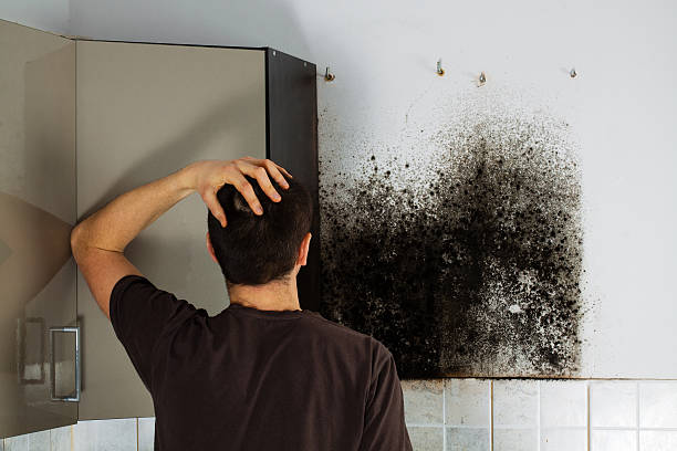Best Mold Testing  in Guadalupe, CA