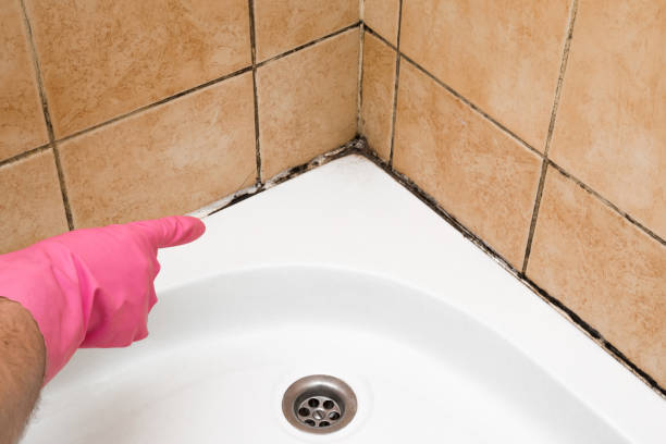Best Mold Testing  in Guadalupe, CA
